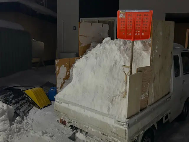 雪かき雪下ろしサービスの画像