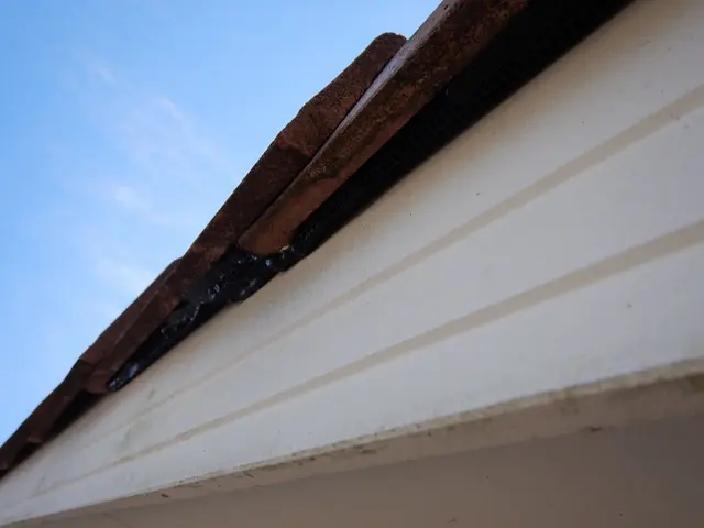 追い出し・清掃消毒・侵入防止！100%自社対応です！調査見積り無料★サービスの画像