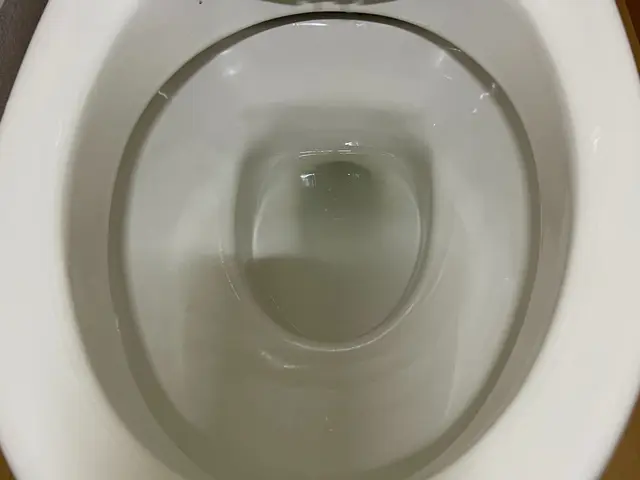 【期間限定】トイレクリーニング特価！清潔＆快適をお得に実現！サービスの画像