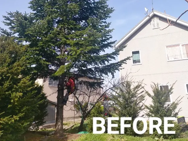 【北海道】庭木伐採・高木対応・回収、処分サービスの画像