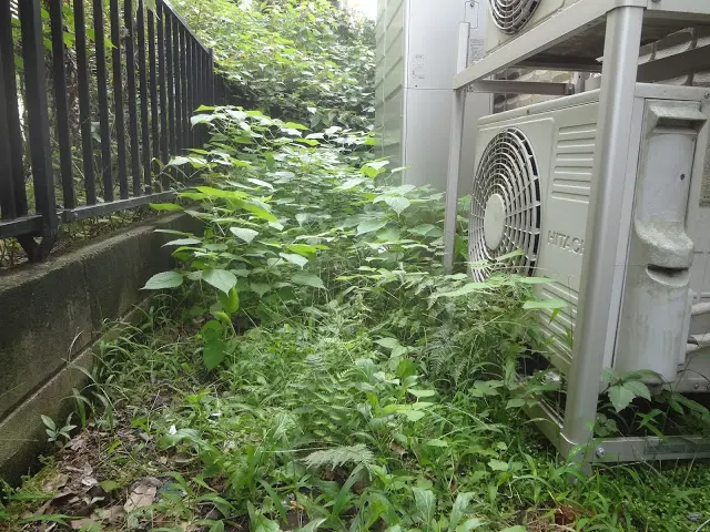 安城から◆口コミ高評価◉愛知の地元の優良業者●何でもご相談下さい●困った！を解決サービスの画像