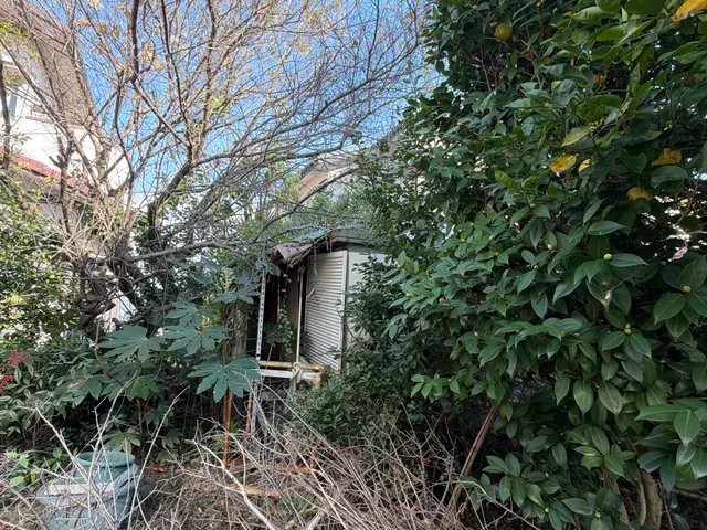 困った庭木の悩みに寄り添う丁寧な伐採伐根で生活の不安を安心に変えるサービスです。サービスの画像