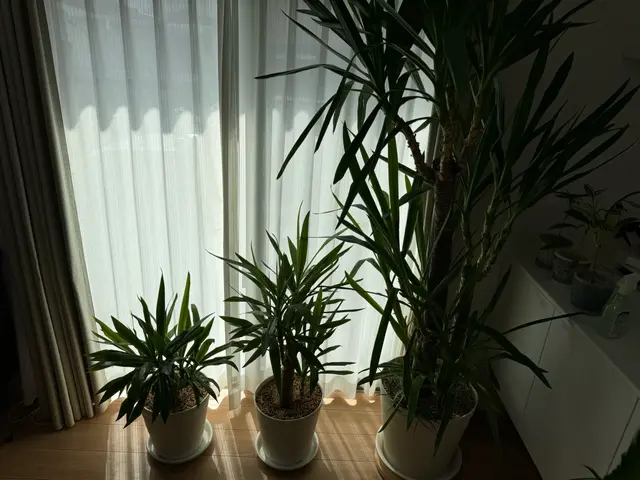 ☆業界歴23年☆外注作業一切なし！大手での経験も豊富です！プロによる植替！サービスの画像