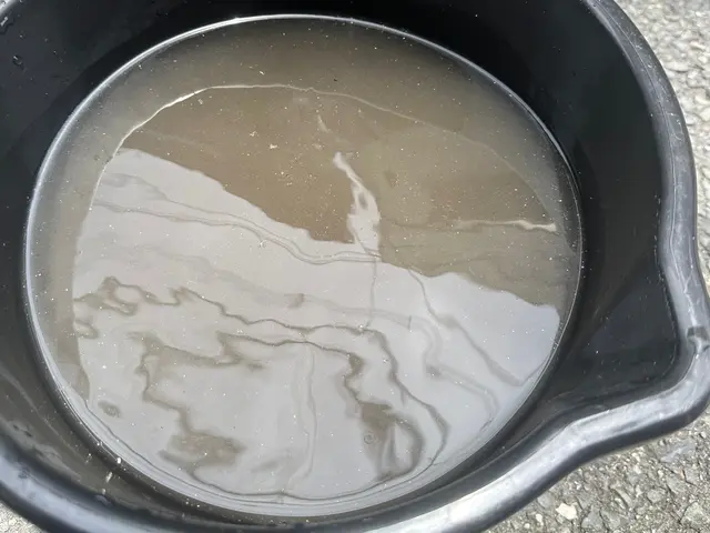 ウイルス・雑菌除去コート付き！「徹底的に分解」「隅々まで洗浄」いたします！サービスの画像