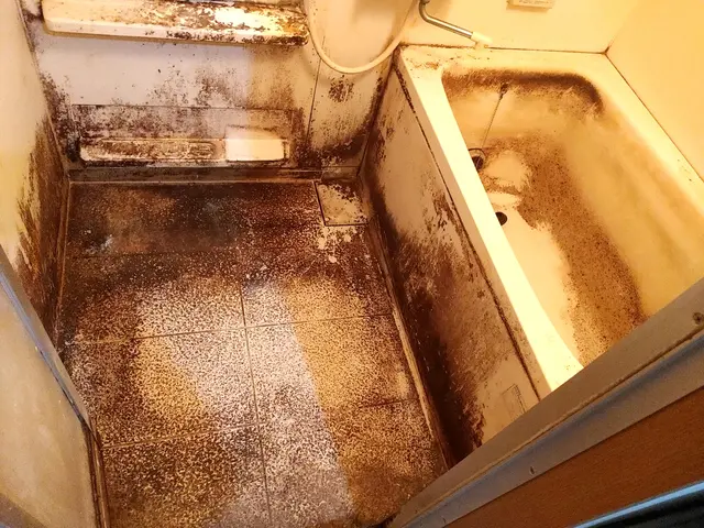 ★業界歴20年★カビなど気になる汚れ徹底除去❢年間作業実績1500部屋以上❢サービスの画像