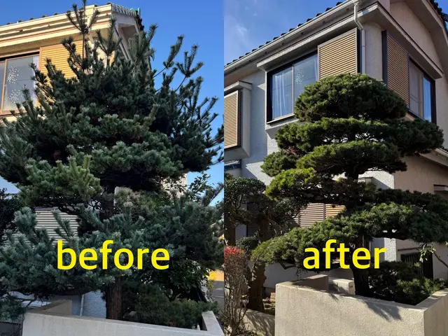 【カード決済OK】写真でお見積りいたします！不安な方は事前に無料見積も出来ます！サービスの画像