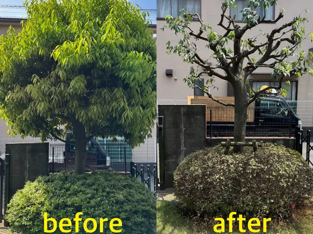 【カード決済OK】写真でお見積りいたします！不安な方は事前に無料見積も出来ます！サービスの画像