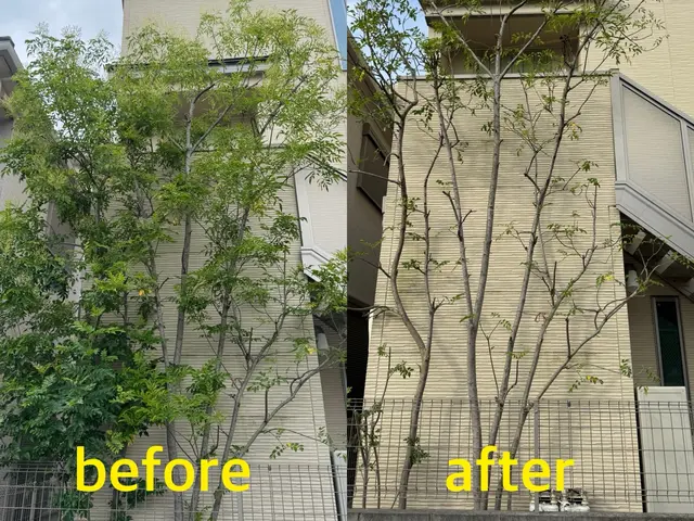 【カード決済OK】写真でお見積りいたします！不安な方は事前に無料見積も出来ます！サービスの画像