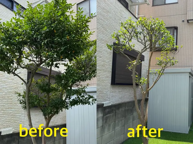 【カード決済OK】写真でお見積りいたします！不安な方は事前に無料見積も出来ます！サービスの画像