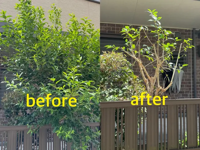 【カード決済OK】写真でお見積りいたします！不安な方は事前に無料見積も出来ます！サービスの画像