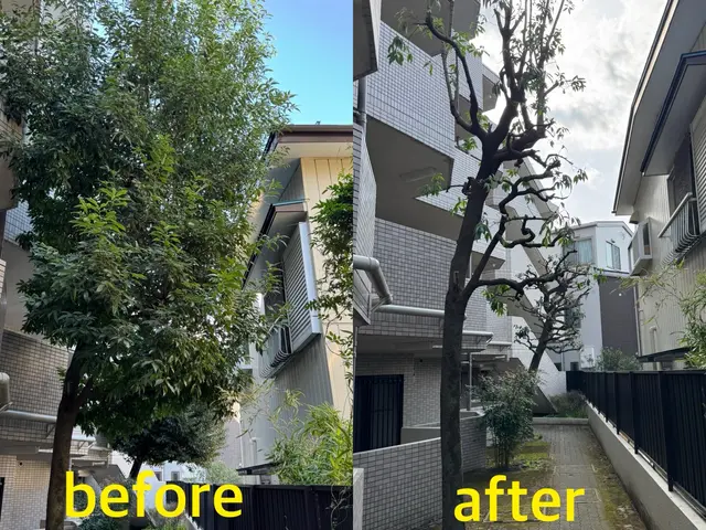 【カード決済OK】写真でお見積りいたします！不安な方は事前に無料見積も出来ます！サービスの画像