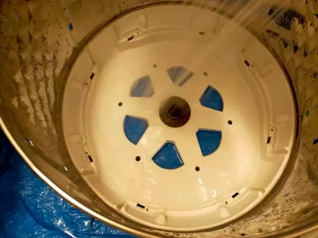 洗濯機のニオイ・カビ撃退！クリーンライフもちべぇサービスの画像