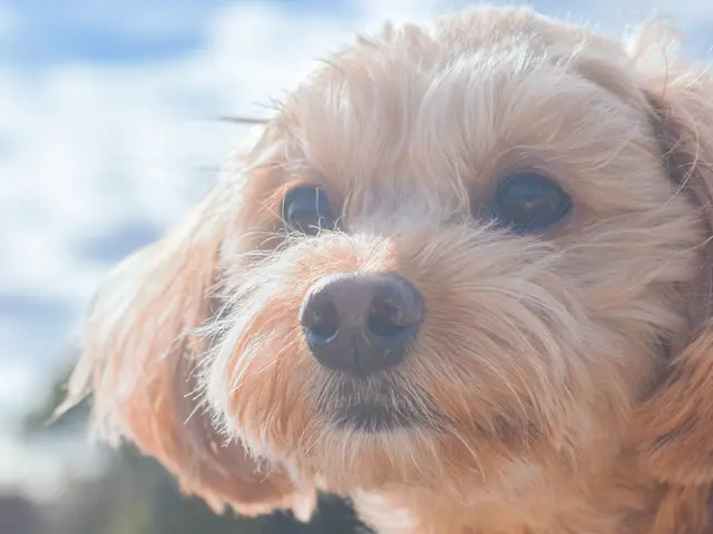 ◎ママカメラマン◎ご家族の一生の思い出に！