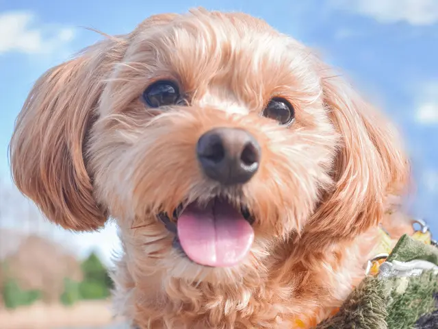 ◎ママカメラマン◎ご家族の一生の思い出に！