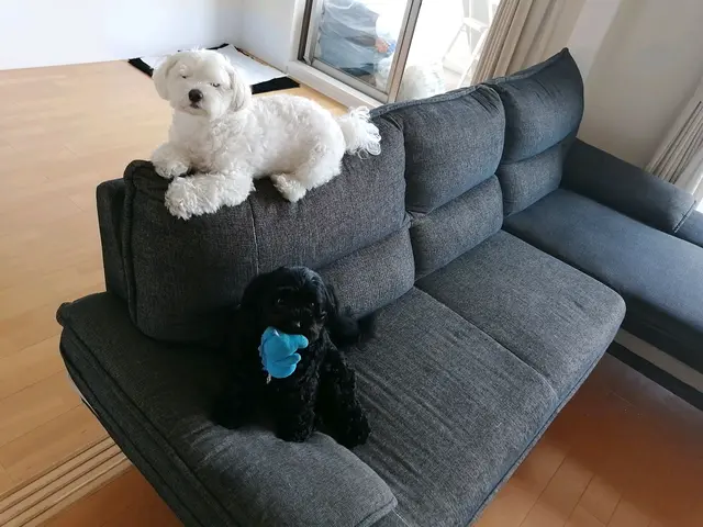 【駐車場代は当店負担◎】女性スタッフ同行OK！プロの技術をご提供します！サービスの画像