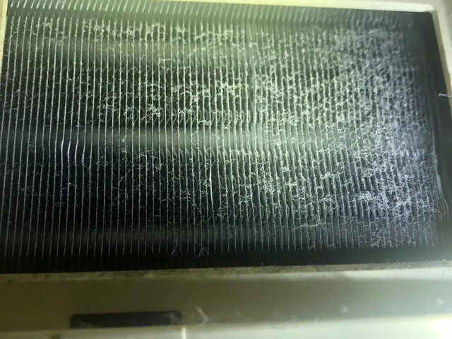 ★エアコンクリーニング後の抗菌コート無料！【地元可児市から伺います！】サービスの画像