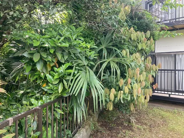 【業界歴20年のプロ！】◎女性スタッフ同行可能！目配り・気配り・心配りがモットーサービスの画像