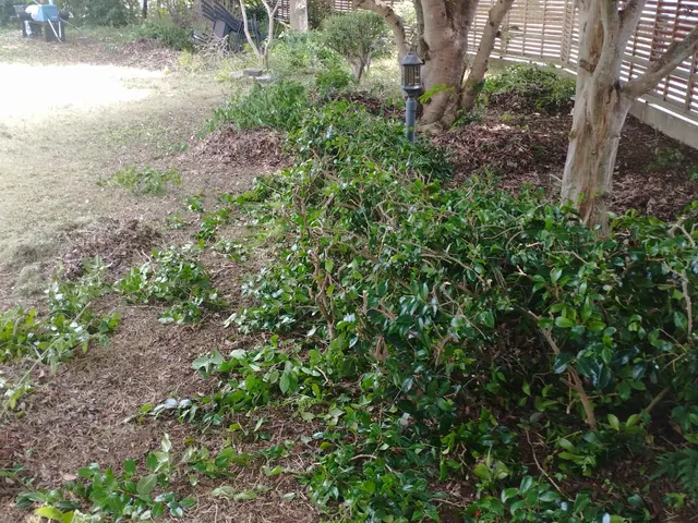 【業界歴20年のプロ！】◎女性スタッフ同行可能！目配り・気配り・心配りがモットーサービスの画像