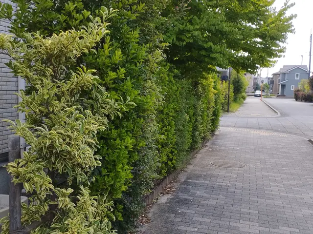 【業界歴20年のプロ！】◎女性スタッフ同行可能！目配り・気配り・心配りがモットーサービスの画像