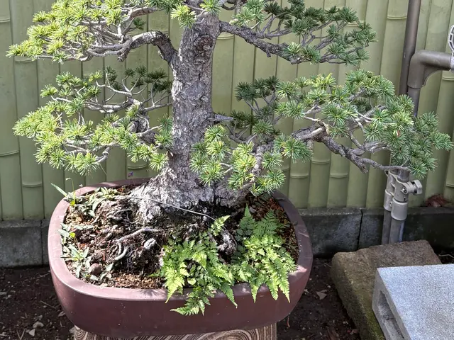 【概算見積り】【即日対応】【予算内お手入れ可】【2000件超と修行歴10年以上】サービスの画像