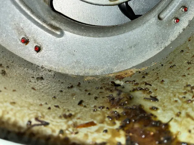 ◎安心・安全◎身体に負担の少ない洗剤使用☆大手業務経験あり☆損害保険加入サービスの画像