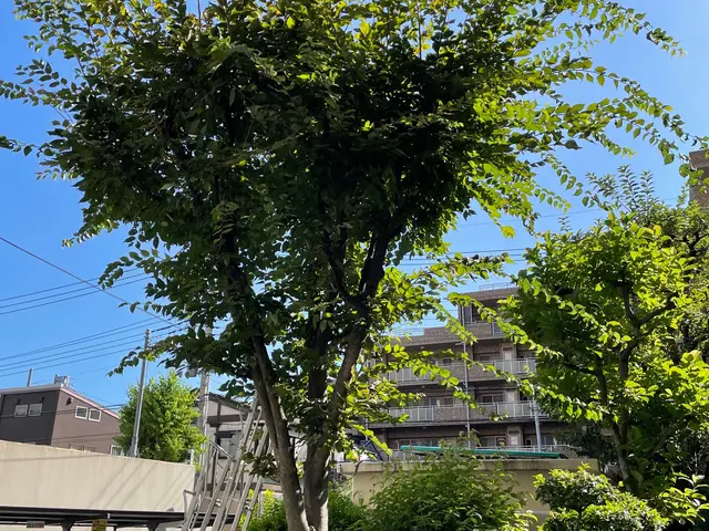 1本からお受けします！クレカ対応。写真にてお見積りいたします。お困りご相談下さいサービスの画像