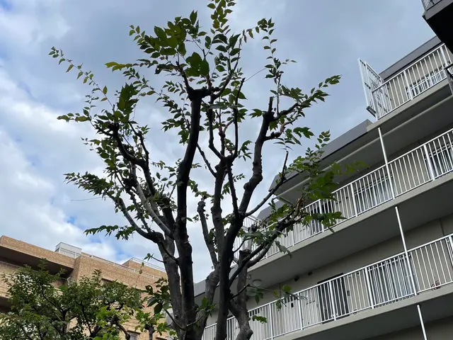 1本からお受けします！クレカ対応。写真にてお見積りいたします。お困りご相談下さいサービスの画像