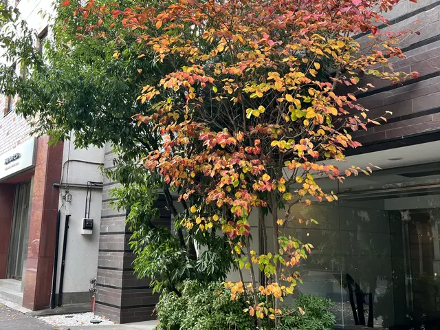 1本からお受けします！クレカ対応。写真にてお見積りいたします。お困りご相談下さいサービスの画像