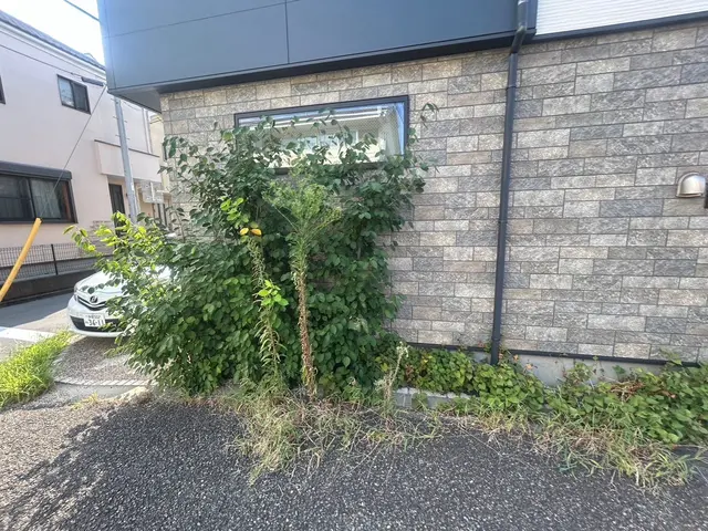 1本からお受けします！クレカ対応。写真にてお見積りいたします。お困りご相談下さいサービスの画像