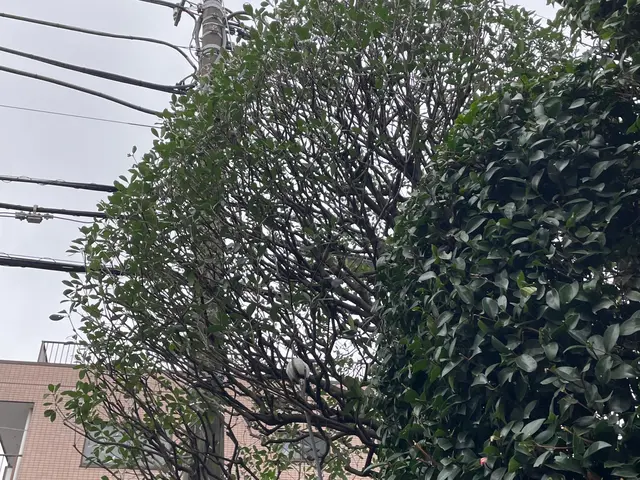 1本からお受けします！クレカ対応。写真にてお見積りいたします。お困りご相談下さいサービスの画像