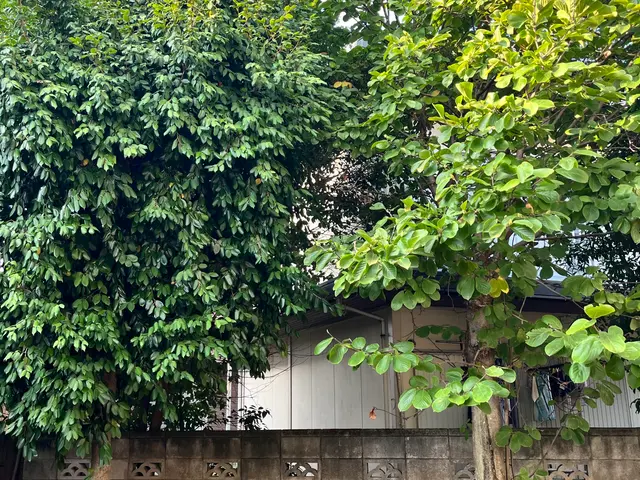 1本からお受けします！クレカ対応。写真にてお見積りいたします。お困りご相談下さいサービスの画像