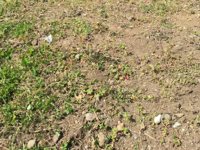 【10年以上の経験】お客様満足のために丁寧で迅速なサービスをモットーにしていますサービスの画像