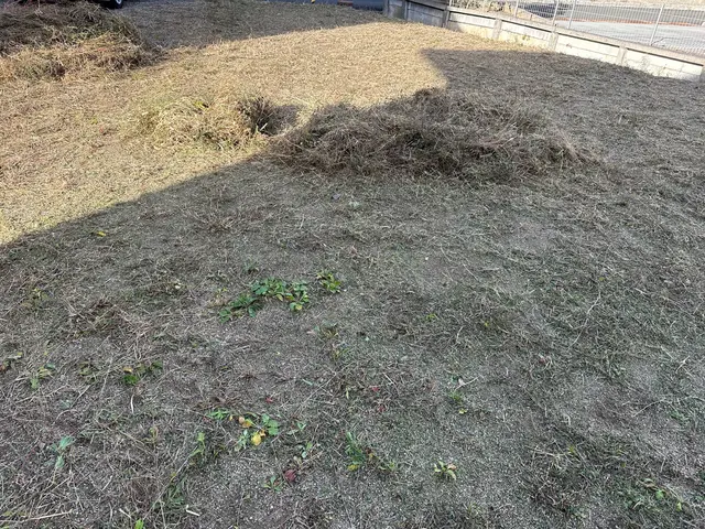 落ち葉掃除のご依頼承っております！営業時間外・対応地域外もご相談可能◎サービスの画像