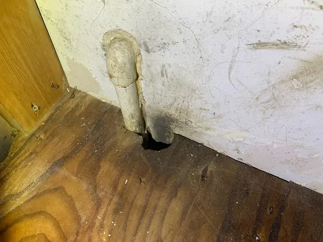 【対応地域外相談OK】増える前に完全駆除！ネズミでお悩みの方必見です！サービスの画像