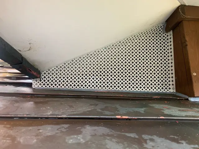 【対応地域外相談OK】増える前に完全駆除！ネズミでお悩みの方必見です！サービスの画像