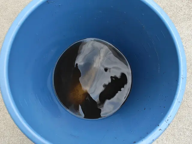 住宅のプロが選ぶ清掃のプロ！割引キャンペーン中！専用洗剤で徹底洗浄！サービスの画像