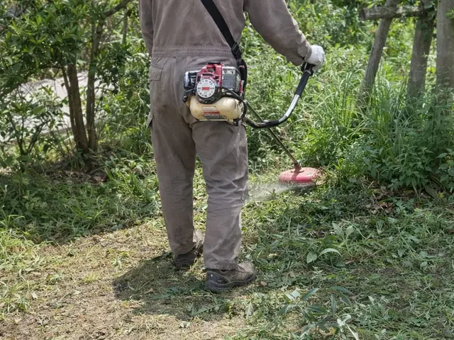 【空き家・不在宅の見守り点検付き】草むしり（草刈り機）｜写真報告サービスの画像