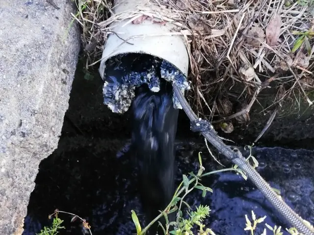 追加料金なく、すべての排水桝・排水口を洗浄！排水管の汚れを一気に解消！サービスの画像