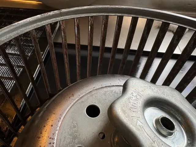 レンジフード換気扇クリーニング　女性スタッフ同行可能◎サービスの画像