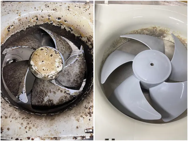 レンジフード換気扇クリーニング　女性スタッフ同行可能◎サービスの画像