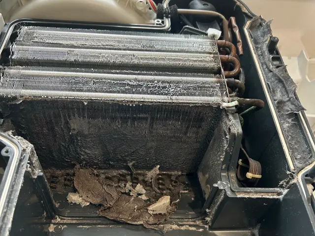 ◤乾燥効率UP◢洗濯機の「分解」洗浄ならお任せください！内部の汚れを徹底除去♪サービスの画像