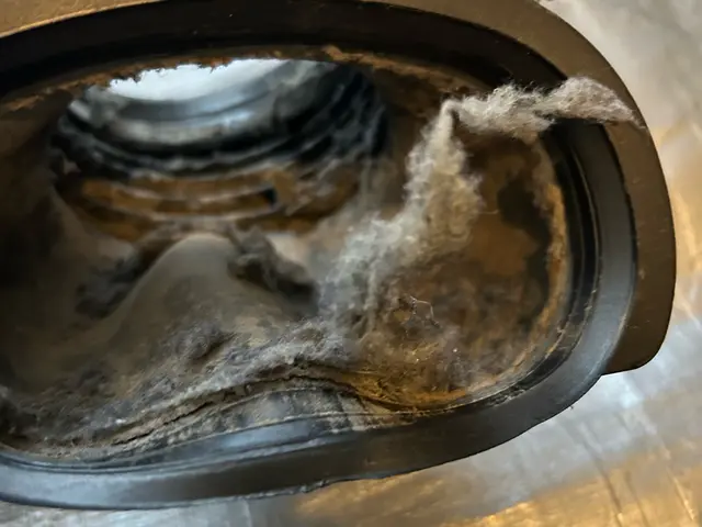 ◤乾燥効率UP◢洗濯機の「分解」洗浄ならお任せください！内部の汚れを徹底除去♪サービスの画像