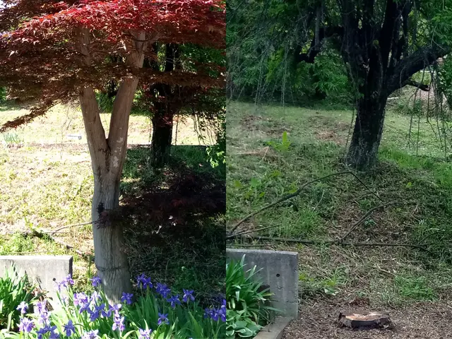 【抜根】群馬県内指定地域密着！作業外注一切なし！サービスの画像