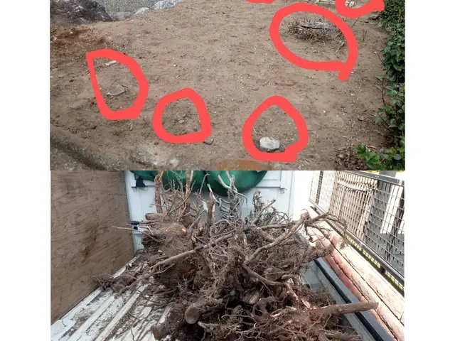 【抜根】群馬県内指定地域密着！作業外注一切なし！サービスの画像