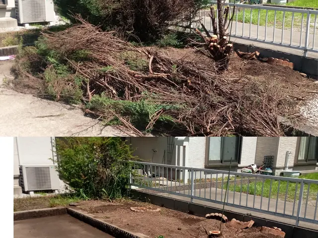 【抜根】群馬県内指定地域密着！作業外注一切なし！サービスの画像