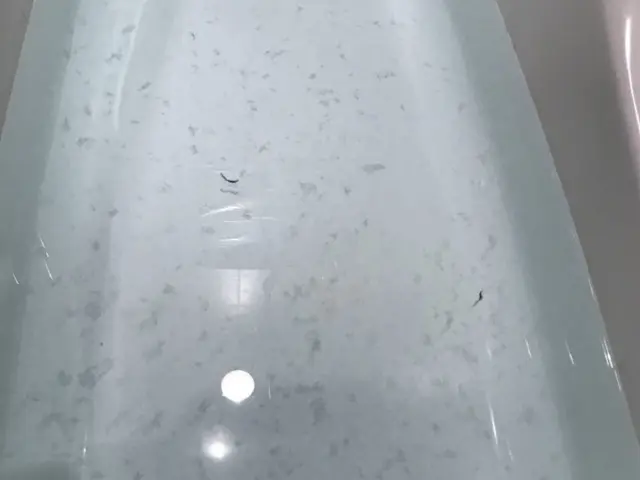 【価値ある風呂釜洗浄】地球環境と肌にとても優しい成分で洗浄♪敏感肌、乳幼児も安心サービスの画像