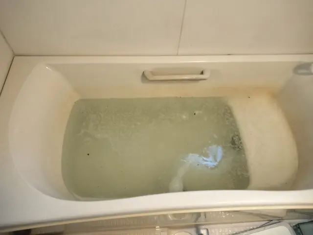 【価値ある風呂釜洗浄】地球環境と肌にとても優しい成分で洗浄♪敏感肌、乳幼児も安心サービスの画像