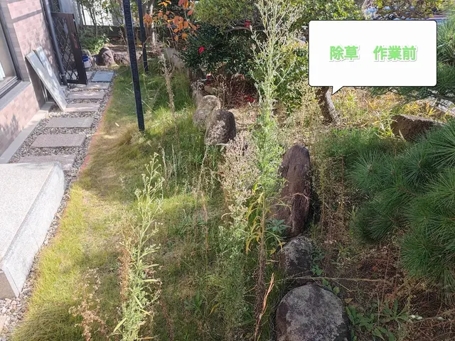 根から処理！【業歴14年】すべて自社対応◆損害保険加入済み◆◆大手経験有サービスの画像