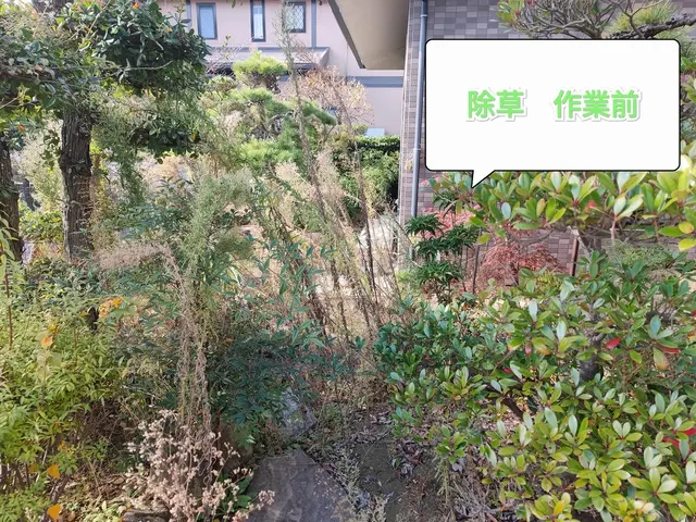 根から処理！【業歴14年】すべて自社対応◆損害保険加入済み◆◆大手経験有サービスの画像