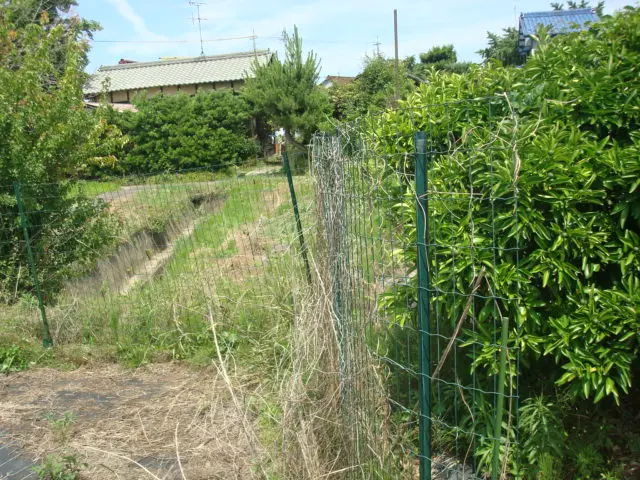 静音電気式、エンジン式草刈り機使用、庭から空き地、耕作放棄地まで対応可能ですサービスの画像